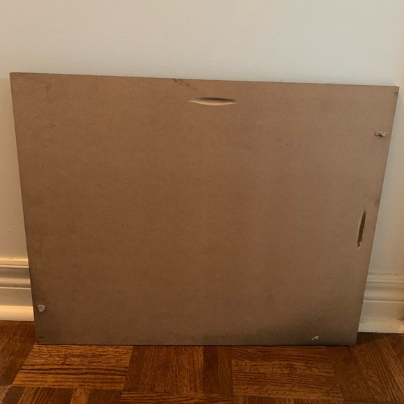 Antarctica Seal Picture Decor - Picture 3 of 4